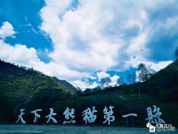 怎样买飞机票最划算-最新、最全的社交分享平台